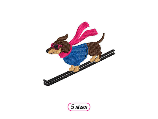 Dachshund Skier