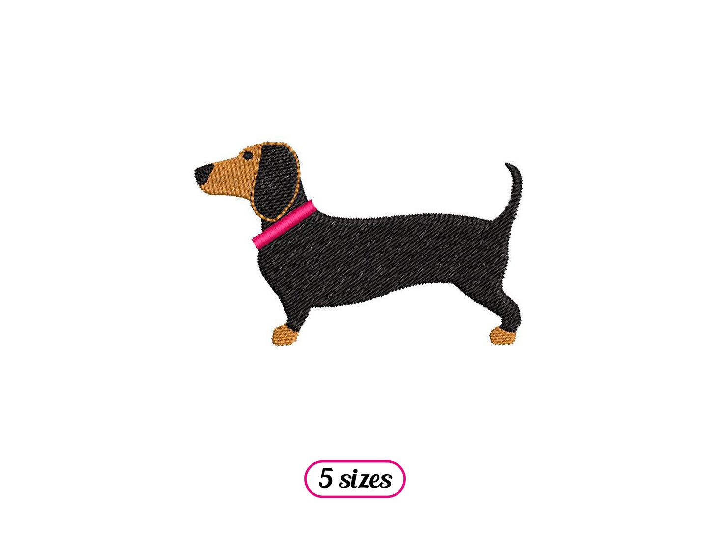 Dachshund Side View