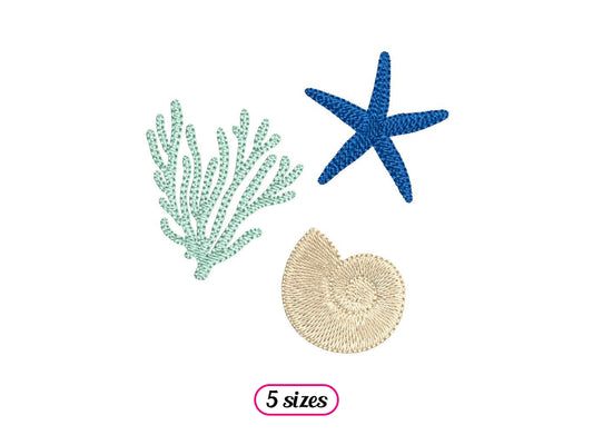Coral, Starfish and Shell