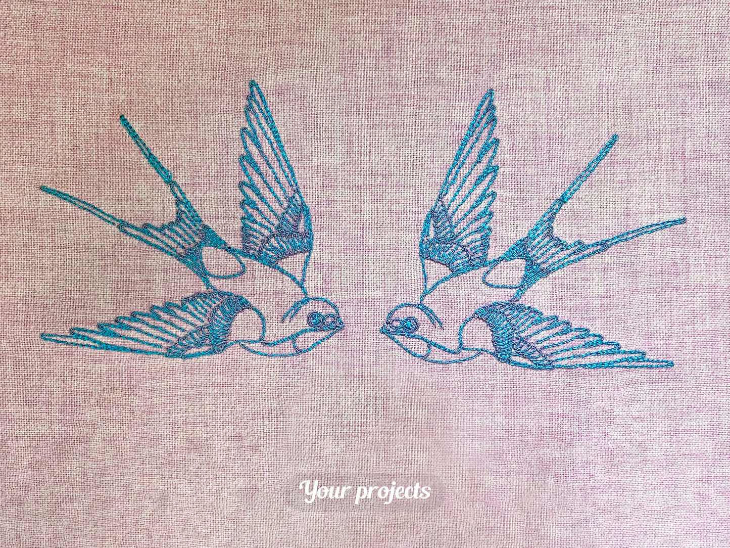 Swallow