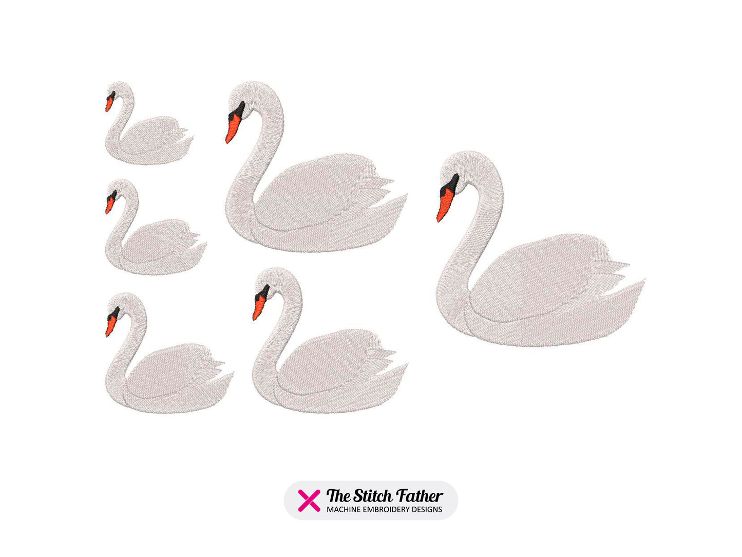 Schwan