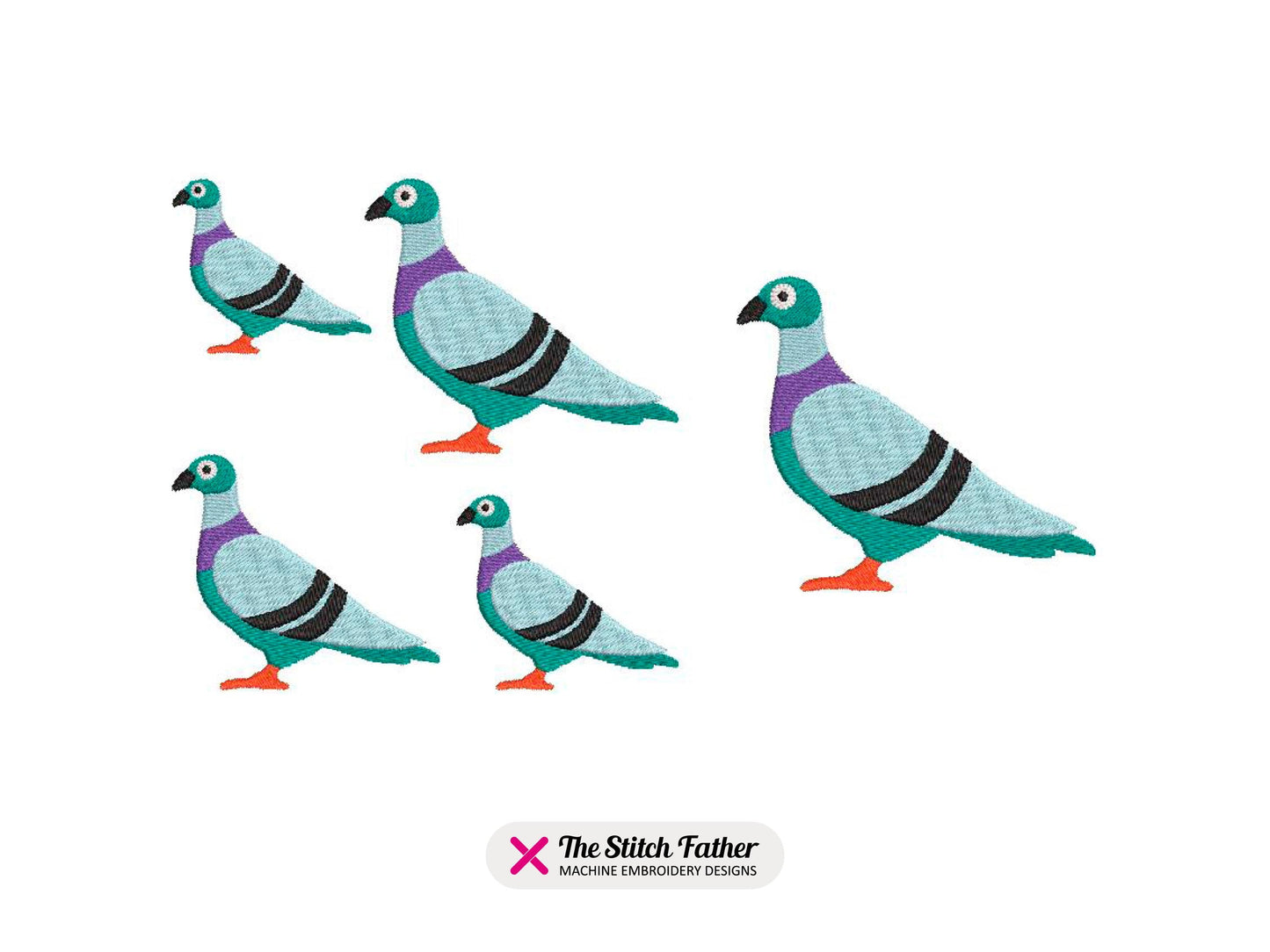 Pigeon