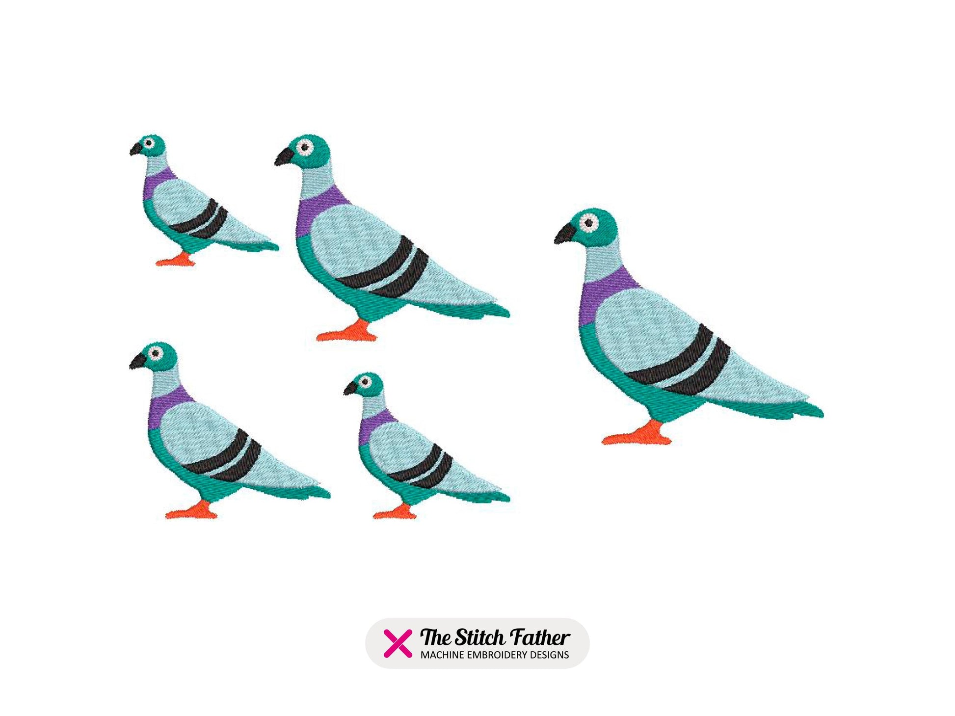 Pigeon