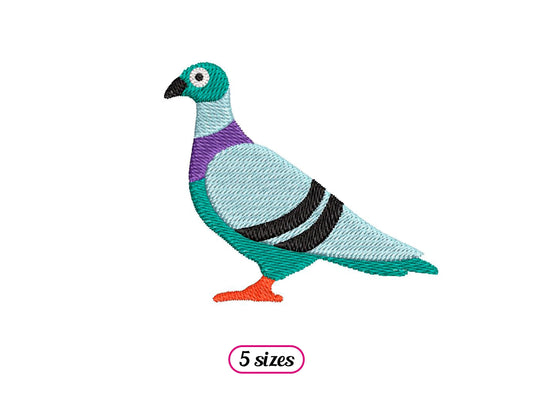 Pigeon