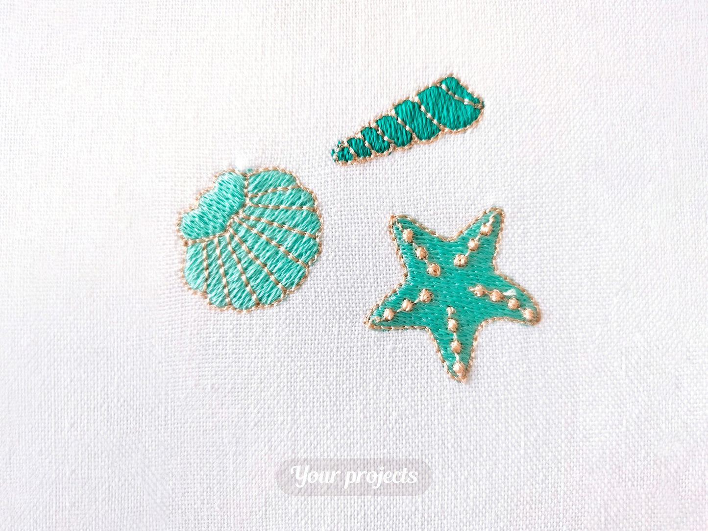 Mini Group of Seashells