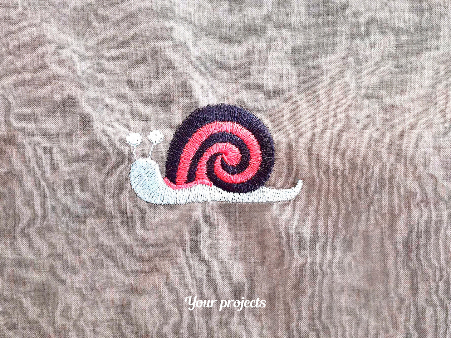 Mini Snail