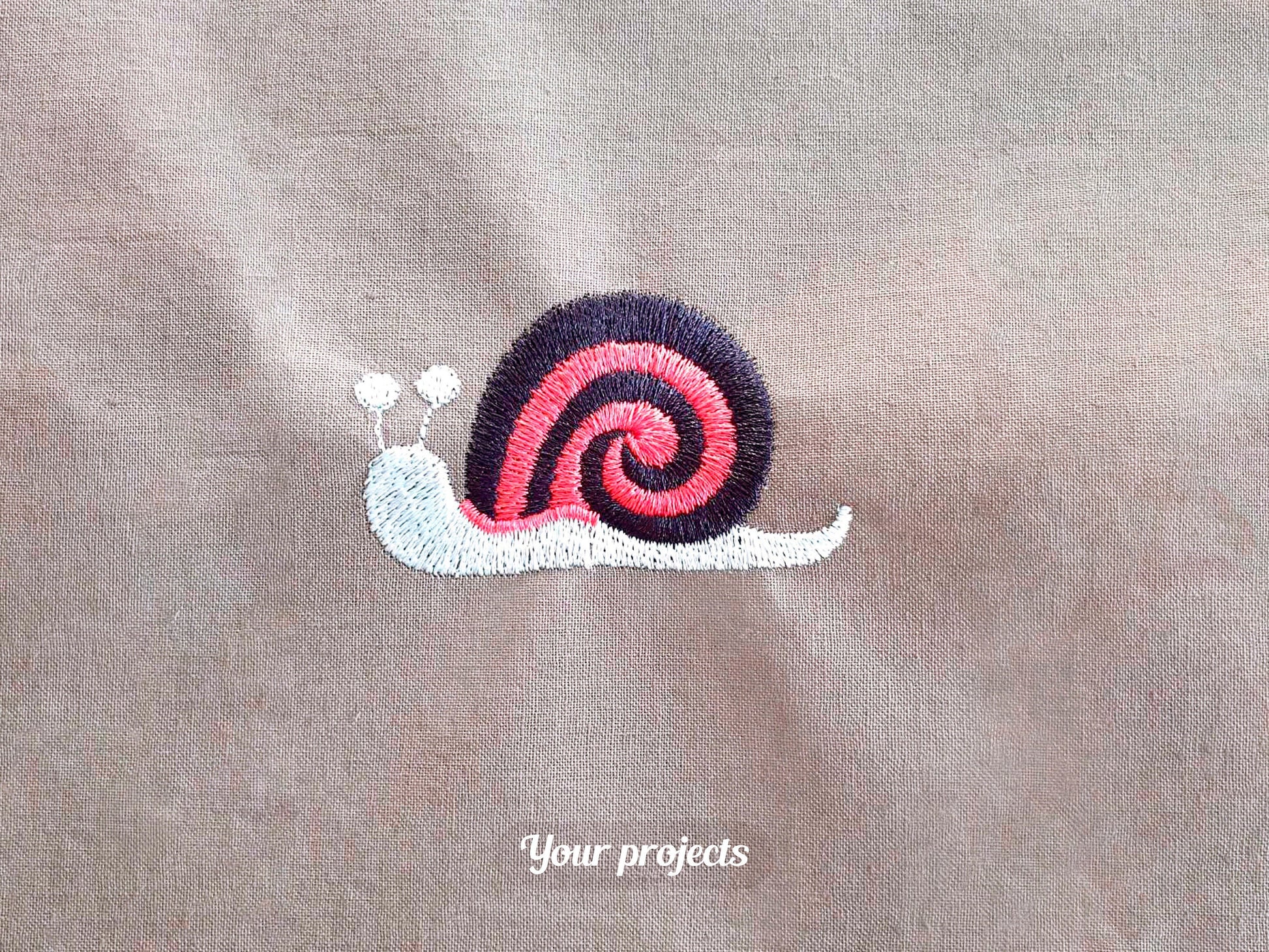 Mini Snail