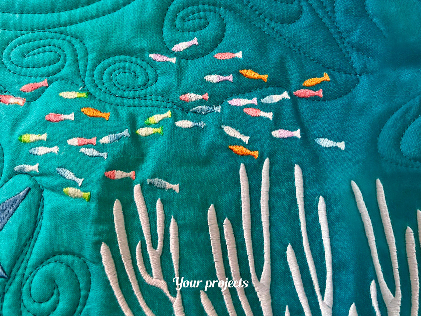 Many Little Fish 4x4