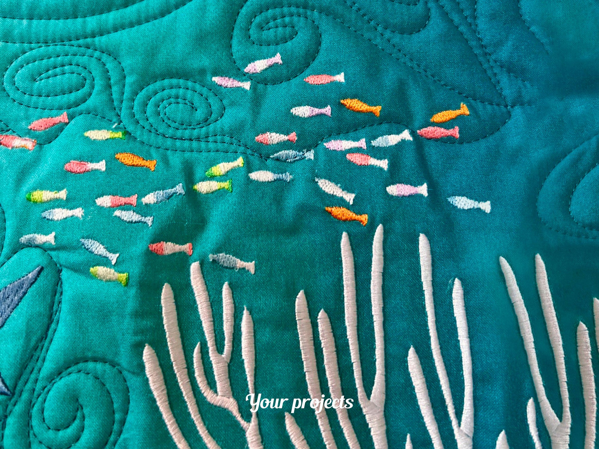 Many Little Fish 4x4