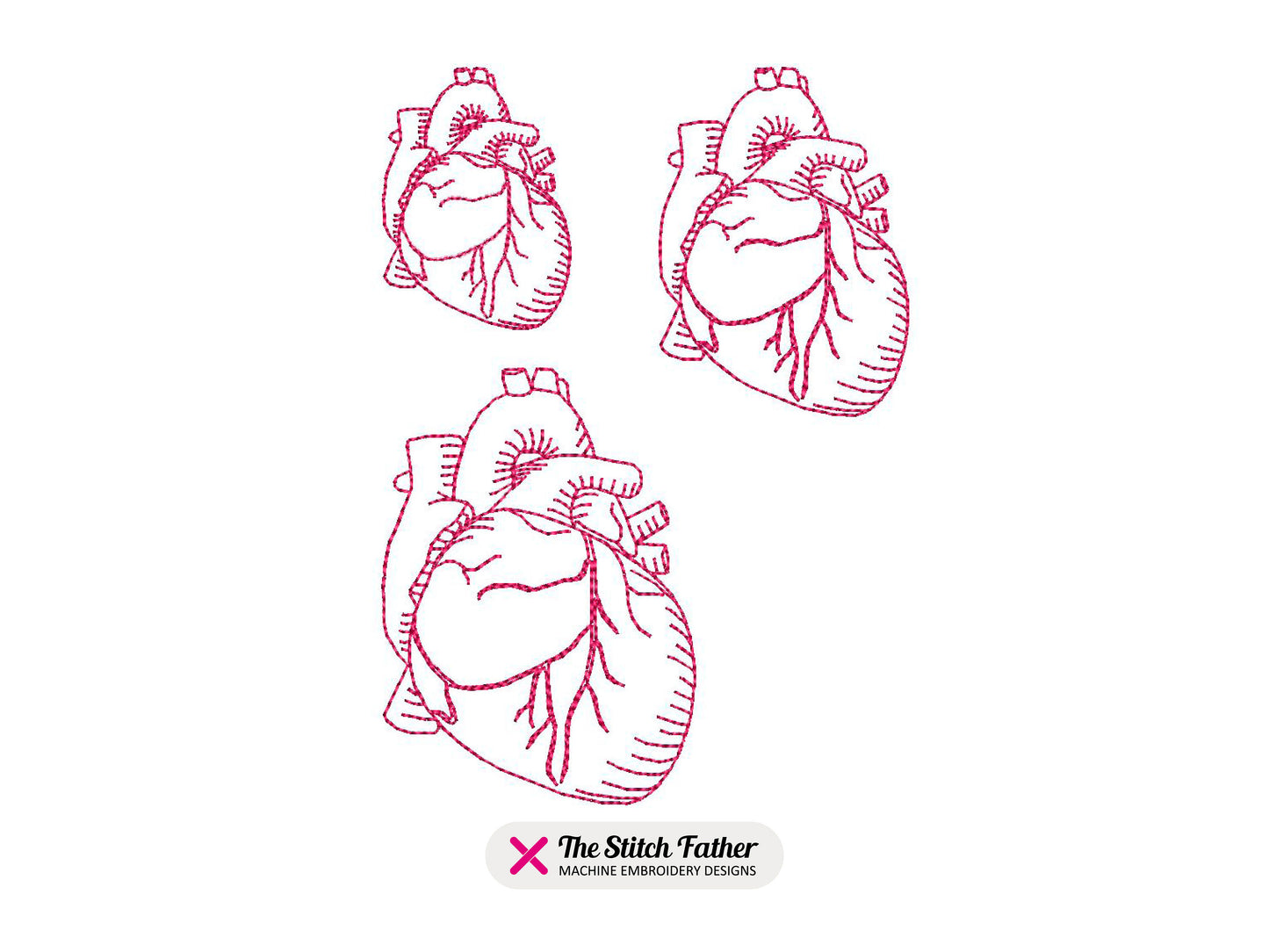 Mini Human Heart
