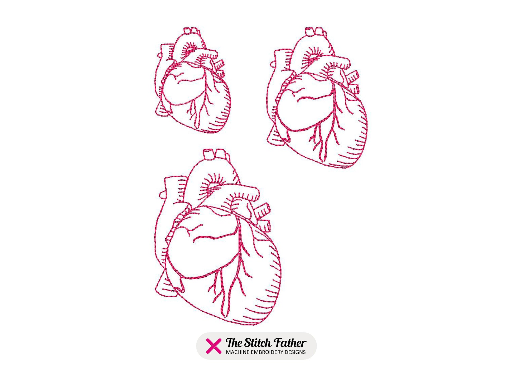 Mini Human Heart