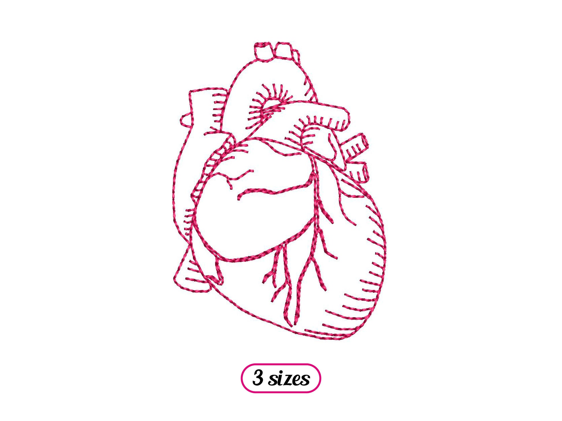Mini Human Heart