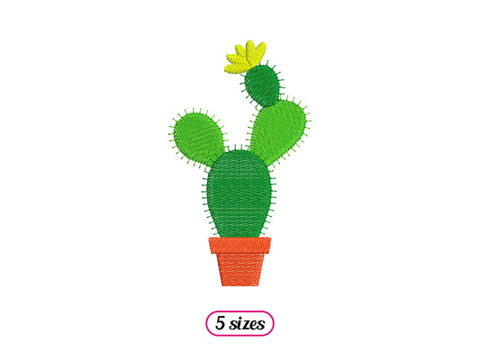 Cactus in Pot with Flower