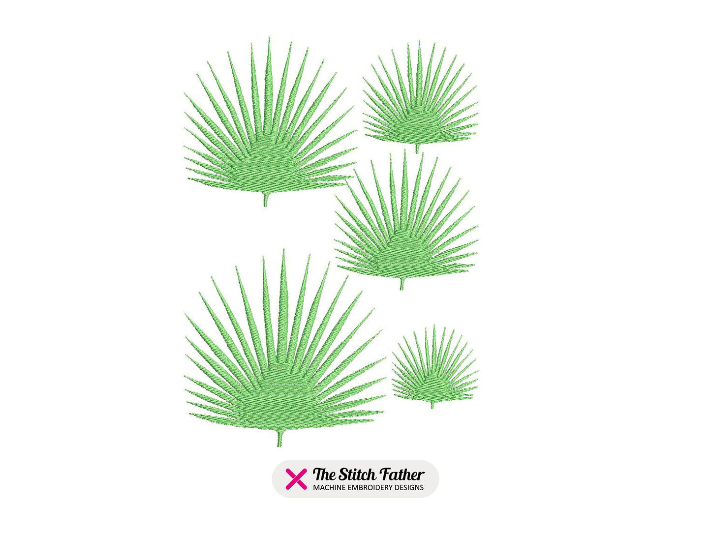 Fan Palm Leaf