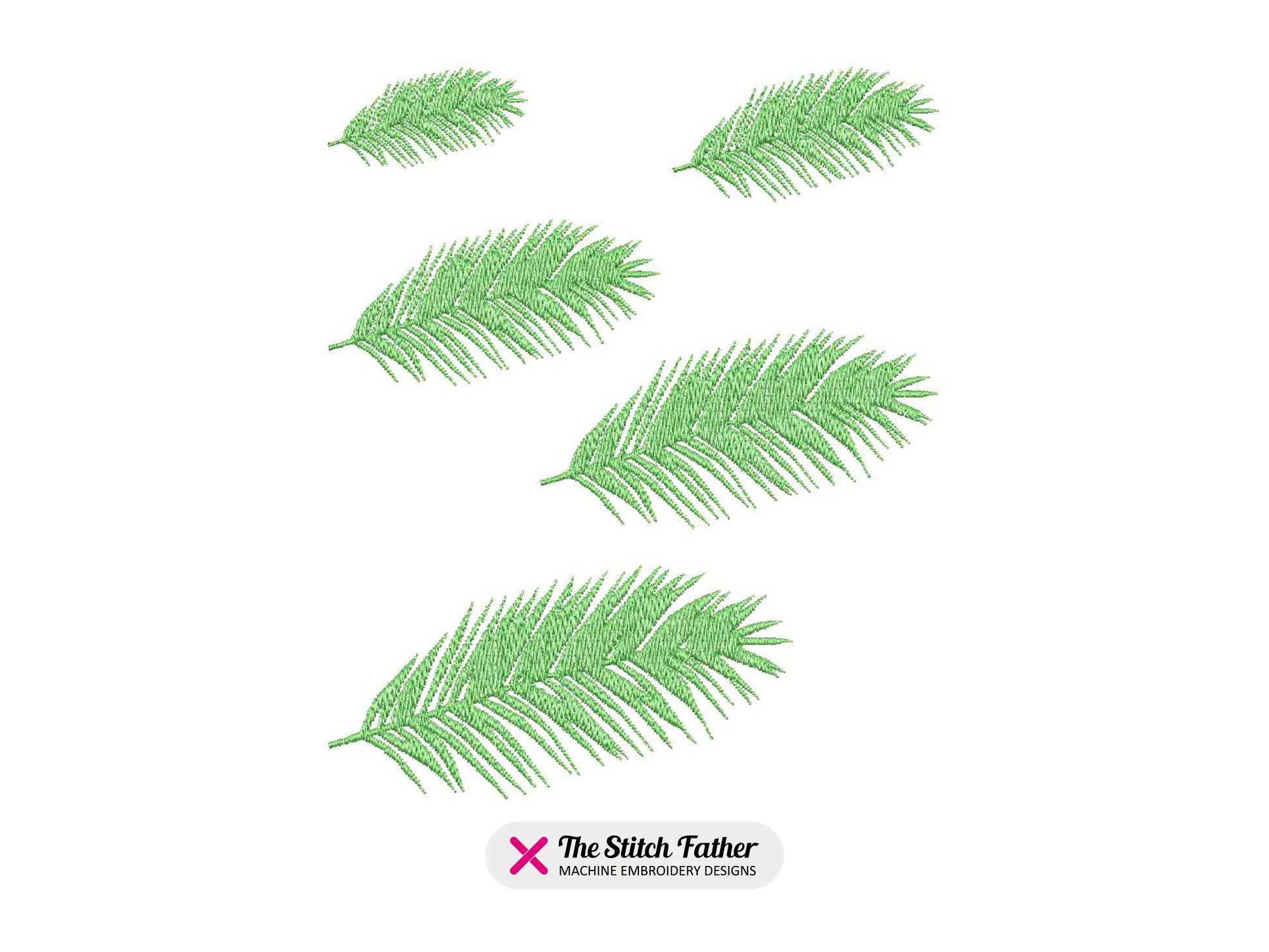 Palm Tree Leaf