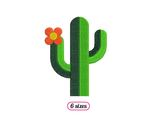 Cactus in the Sun