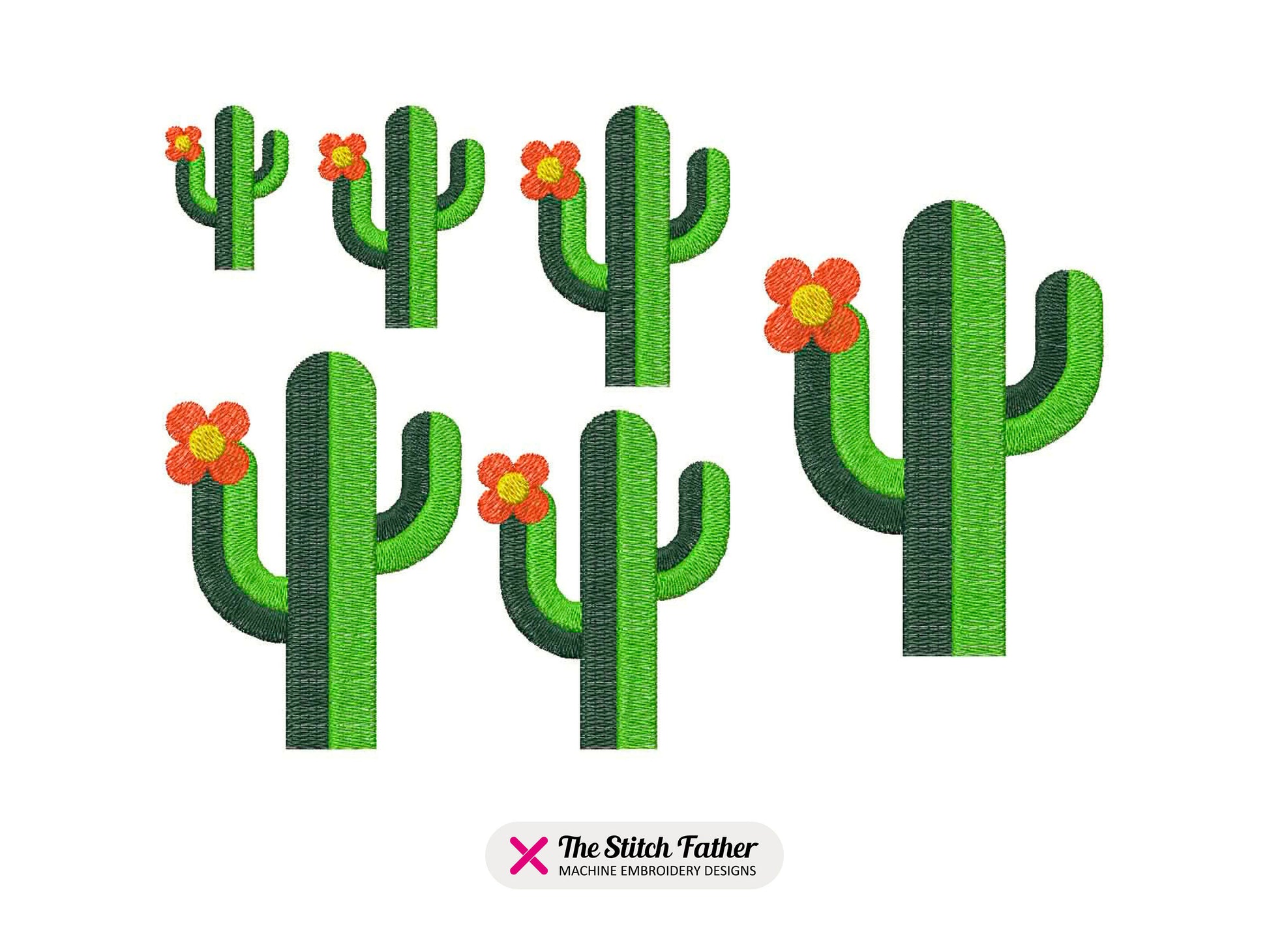Cactus in the Sun