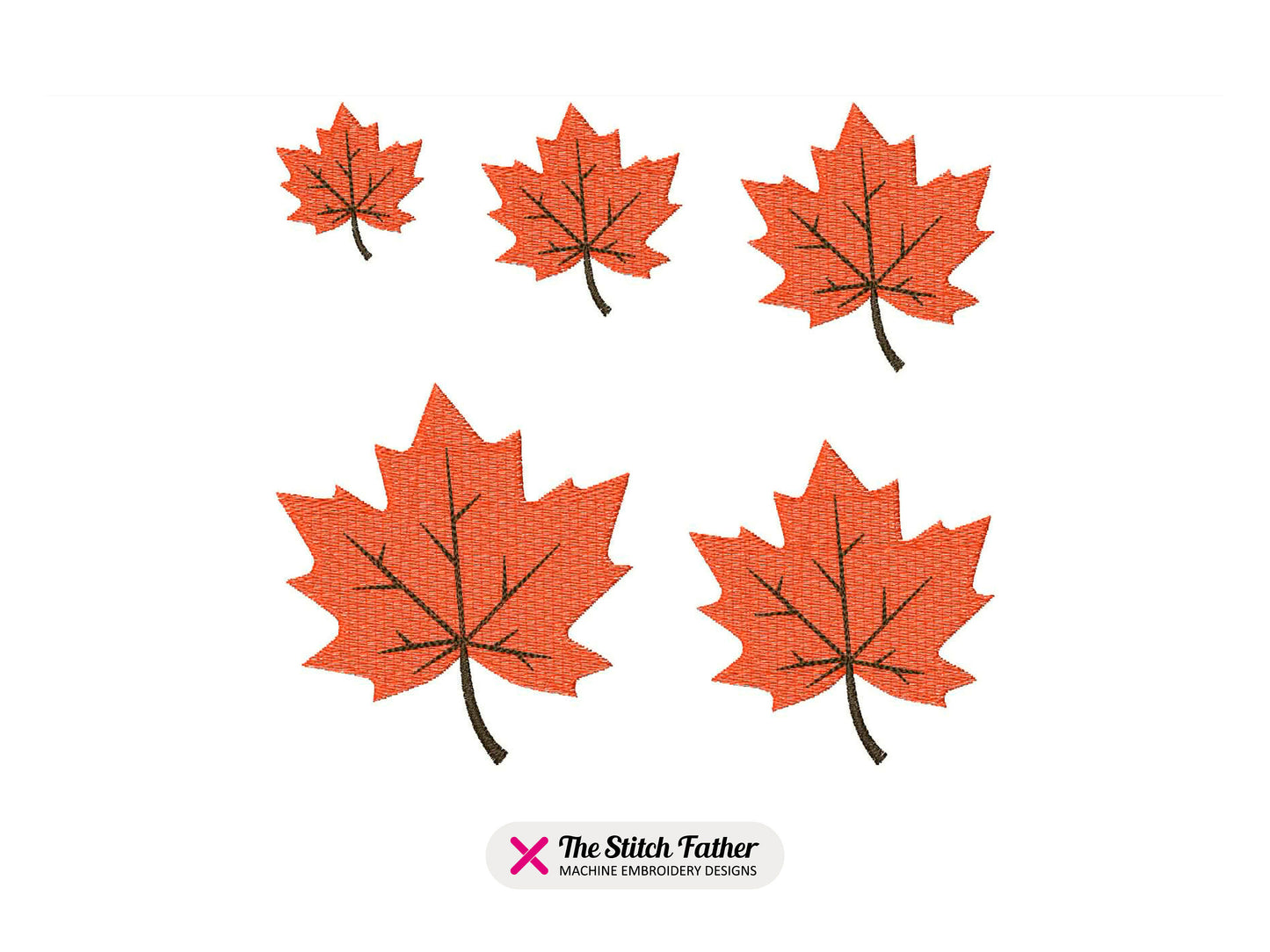 Autumn Leaf