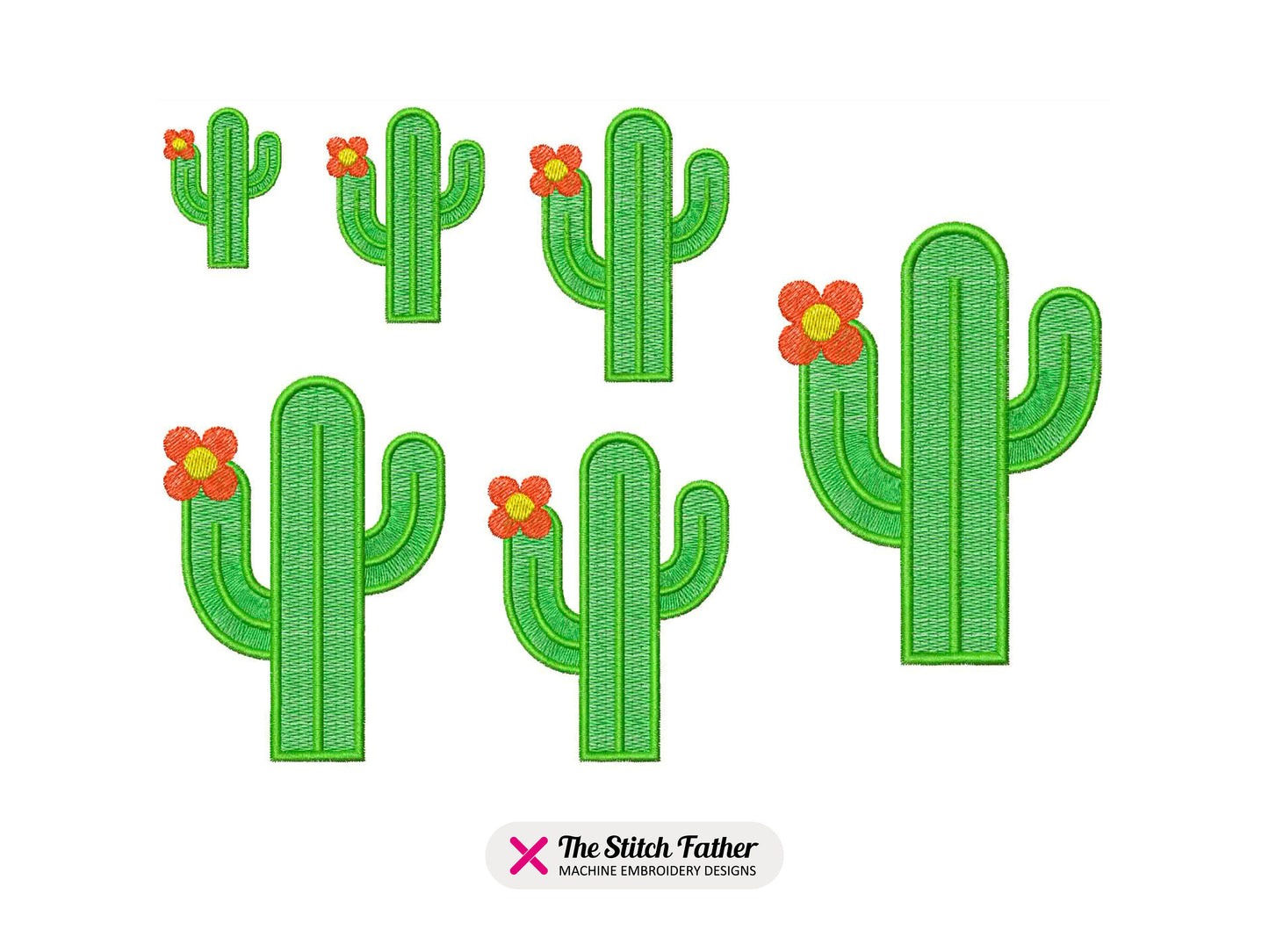 Cactus with Flower