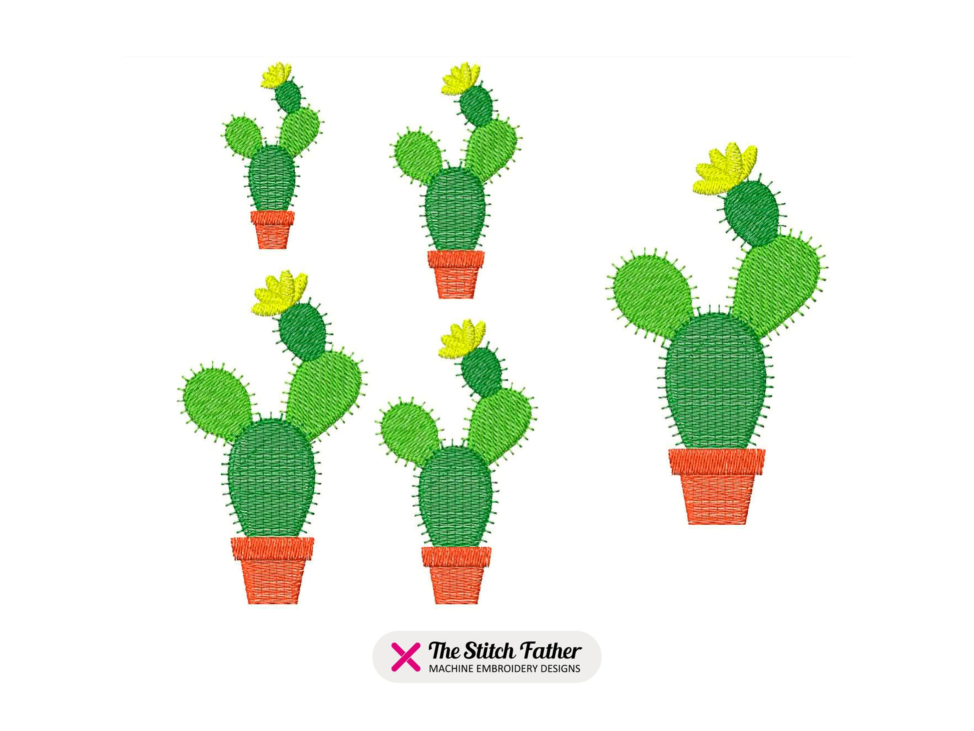 Cactus in Pot with Flower