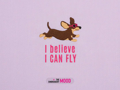 Dachshund Can Fly
