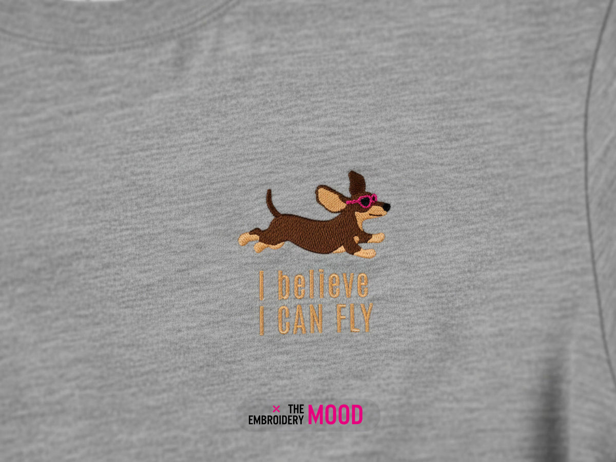 Dachshund Can Fly