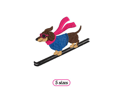 Dachshund Skier