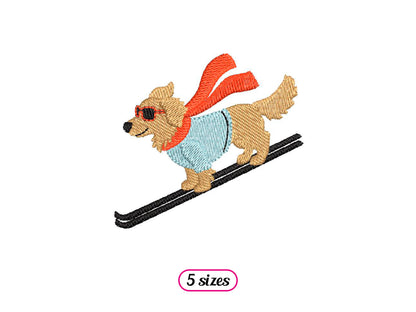 Golden Retriever Skifahrer