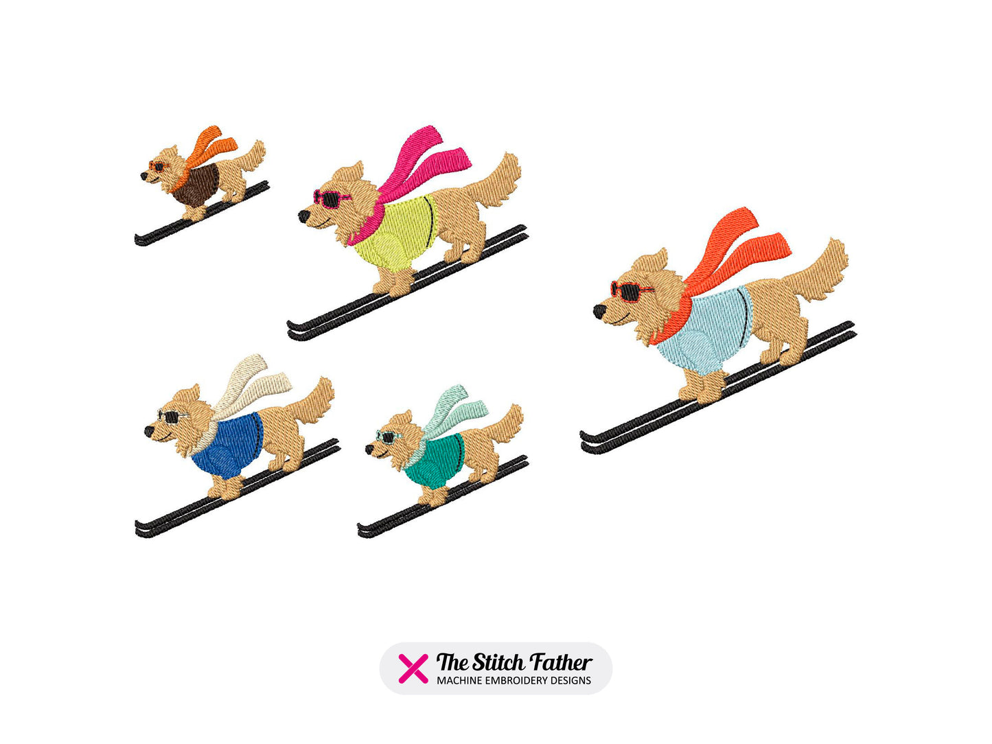 Golden Retriever Skifahrer