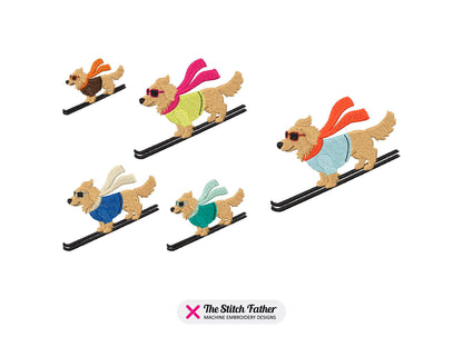 Golden Retriever Skifahrer