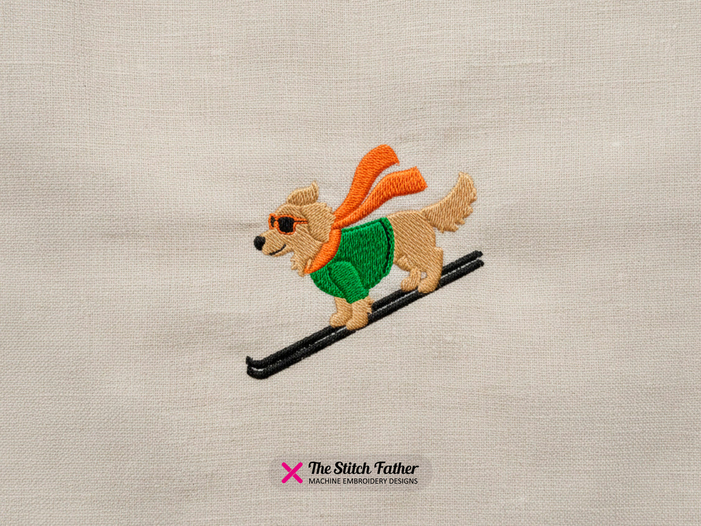 Golden Retriever Skifahrer