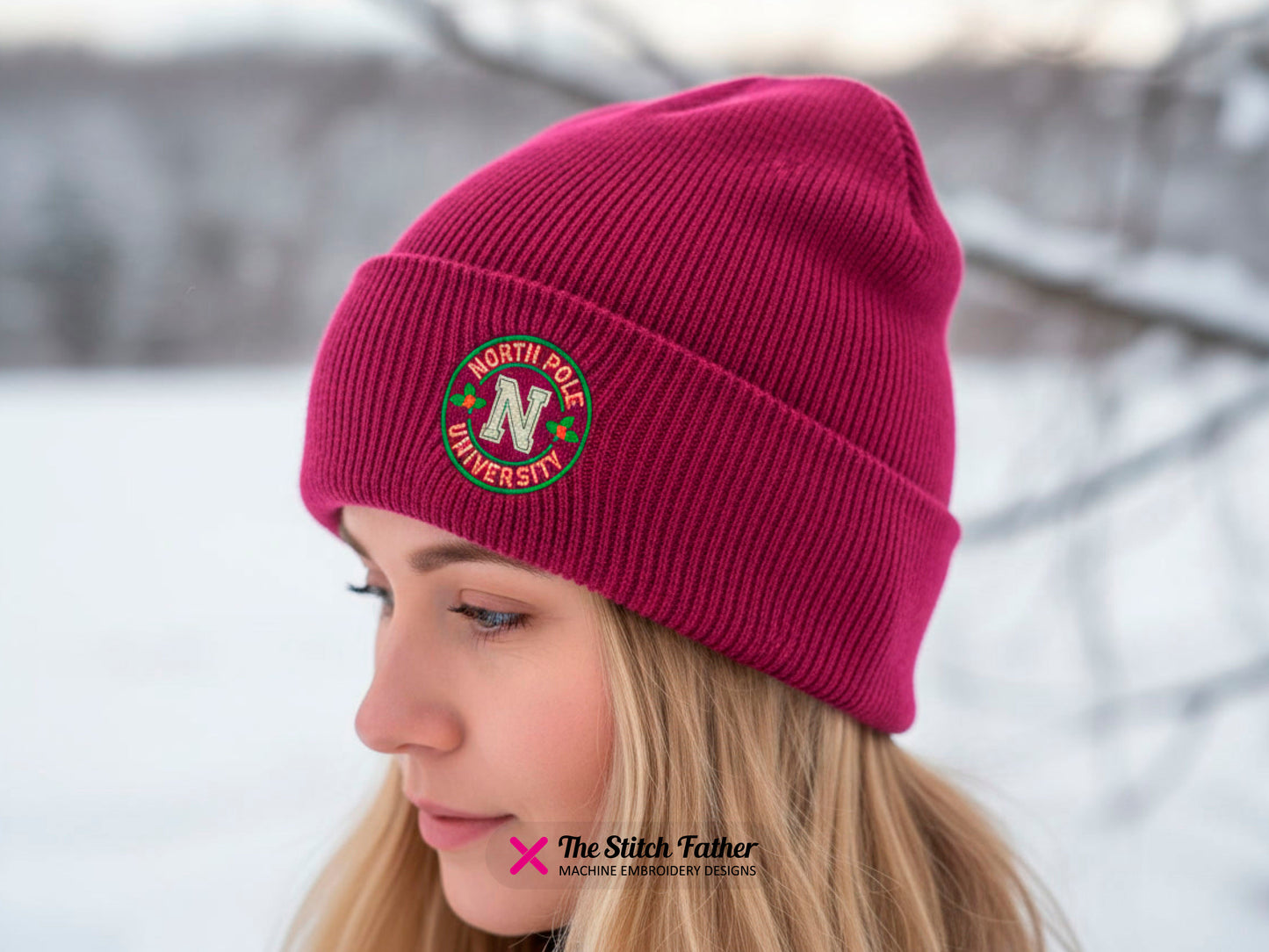 Logo der North Pole University