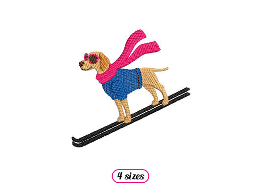 Vorstehhund-Skifahrer