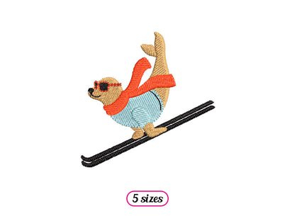Sea Lion Skier