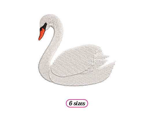 Swan