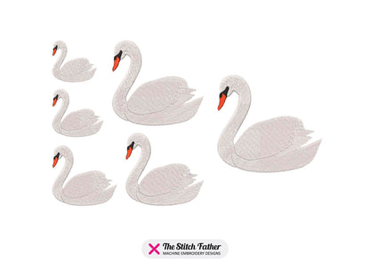Schwan