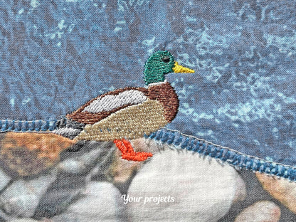 Green Collar Duck Standing