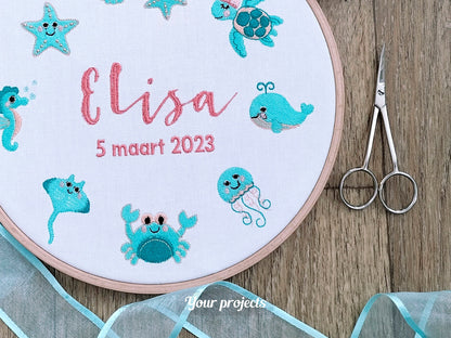 Mini Jellyfish