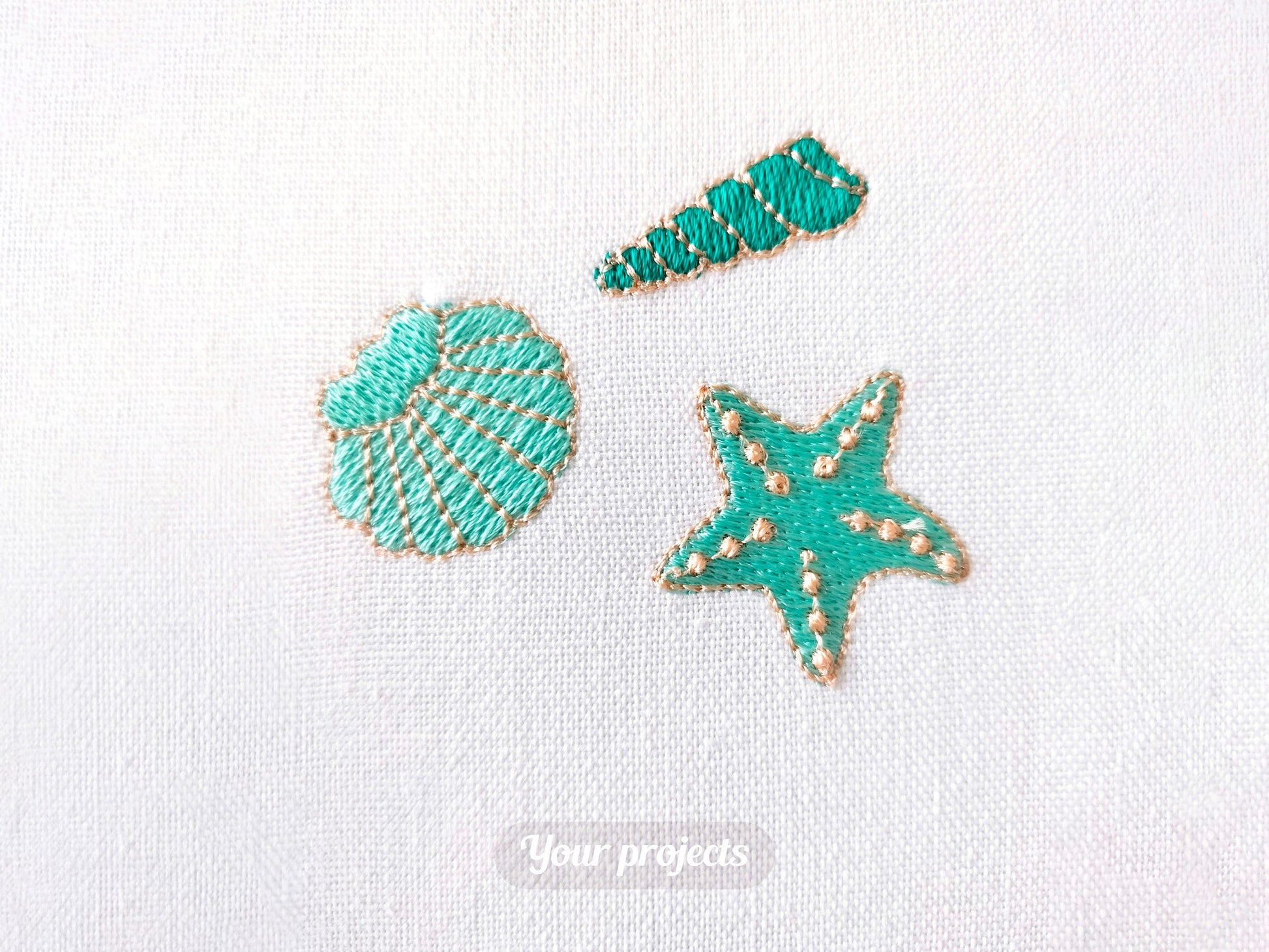 Mini Group of Seashells