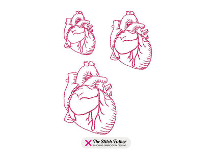 Mini Human Heart