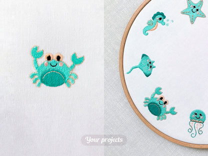 Mini Crab