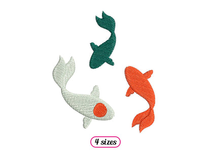 Three Koi Carp Swimming