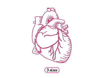 Mini Human Heart