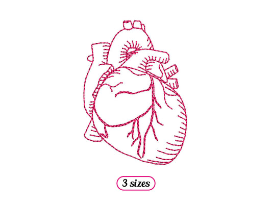Mini Human Heart