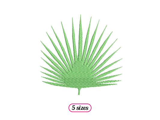 Fan Palm Leaf
